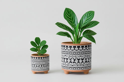 Midnight Lace Terracotta Planter Set | 4" & 6" Indoor Pots with Drainage, 